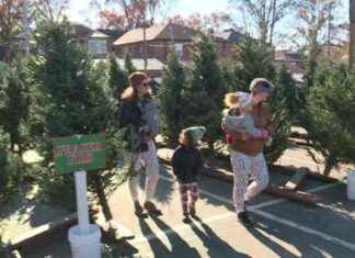 Ted Drewes Christmas Tree Lot: Seasonal Opening for the Holidays news-30112024-165232