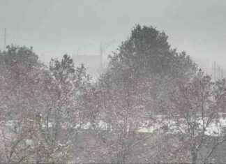 First Snowfall in St. Louis Captured in Stunning Photos news-30112024-225519