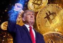 Donald Trump, Bitcoin, and Crypto Coin: How Trump’s Crypto Policies Could Influence US-China Relations and Shape the Global Economy How Trump's Crypto Policies Might Shape the Future of US-China Relations