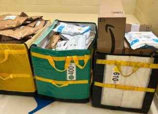 Abandoned Amazon Packages Found in Massachusetts Woods: Driver Cites Stress abandoned-amazon-packages-found-in-massachusetts-woods-driver-cites-stress