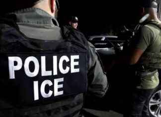 Arrested Senegalese Illegal Immigrant Wanted for Murder in Brazil: Latest Update arrested-senegalese-llegal-mmigrant-wanted-for-murder-in-brazil-latest-update