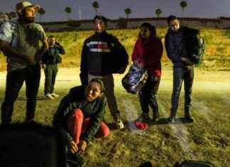 Border Crossings Plummet to Four-Year Low in November: Latest Data border-crossings-plummet-to-four-year-low-in-november-latest-data