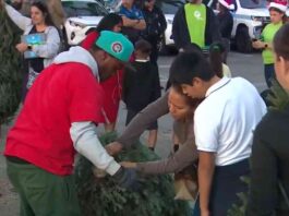 boys-girls-clubs-of-miami-dade-and-fpl-distribute-200-christmas-trees