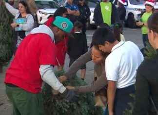 Boys & Girls Clubs of Miami-Dade and FPL Distribute 200 Christmas Trees boys-girls-clubs-of-miami-dade-and-fpl-distribute-200-christmas-trees