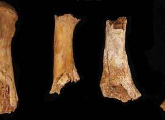 Bronze Age Britons Cannibalized in Violent Attack: Uncovering Ancient Violence bronze-age-britons-cannibalized-in-violent-attack-uncovering-ancient-violence