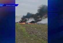 Brush Fire Crews Battle Blaze in South Miami-Dade – WSVN 7News | Miami News, Weather, Sports brush-fire-crews-battle-blaze-in-south-miami-dade-wsvn-7news-miami-news-weather-sports