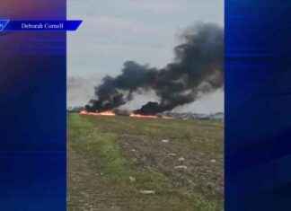 Brush Fire Crews Battle Blaze in South Miami-Dade – WSVN 7News | Miami News, Weather, Sports brush-fire-crews-battle-blaze-in-south-miami-dade-wsvn-7news-miami-news-weather-sports