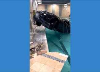 Car Crashes into Indoor Pool in Southern California car-crashes-into-ndoor-pool-in-southern-california