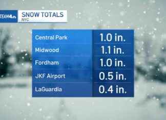 Christmas Eve 2024 Snow Totals: Check Your City’s Accumulation by Town christmas-eve-2024-snow-totals-check-your-citys-accumulation-by-town