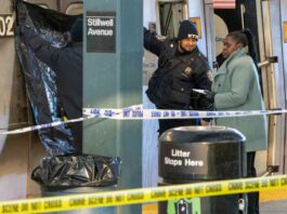 dentifying-the-victim-woman-set-on-fire-on-nyc-subway-police-dentification