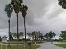 fatal-dog-attack-in-san-diego-park-owner-killed-bystander-njured