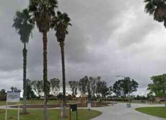 Fatal Dog Attack in San Diego Park: Owner Killed, Bystander Injured fatal-dog-attack-in-san-diego-park-owner-killed-bystander-njured