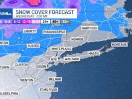 holiday-forecast-will-new-york-have-a-white-christmas-in-2024