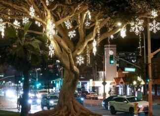 Laguna Beach: Police Crack Down on Drunk-Driving Arrests laguna-beach-police-crack-down-on-drunk-driving-arrests