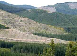 Latest Developments in Climate Change Policies: A Comprehensive Overview latest-developments-in-climate-change-policies-a-comprehensive-overview