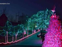 magical-holiday-lights-at-philadelphia-zoo-a-festive-spectacle