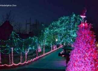 Magical Holiday Lights at Philadelphia Zoo: A Festive Spectacle magical-holiday-lights-at-philadelphia-zoo-a-festive-spectacle