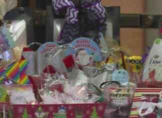 St. Louis County Small Business Saturday Pop-Up Event Celebration news-01122024-153447