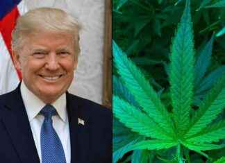 Trump’s DEA Pick Celebrates Marijuana Decriminalization Vote In Florida – Marijuana Moment news-01122024-171410