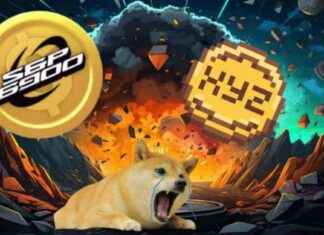 Crypto Market Update: XYZVerse and SPX Soar, Outperforming Shiba Inu and WIF – Brave New Coin news-02122024-060955