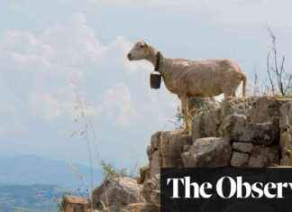 Goats and Dogs as Earthquake and Volcanic Eruption Predictors: Scientists’ Perspective news-02122024-191931