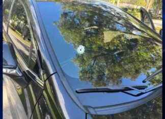 Woman Shot in Neck While Driving on I-95 in North Miami: Hospital Release – WSVN 7News news-03122024-011650