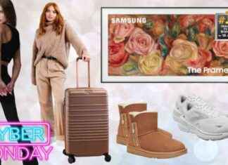 Top 50 Cyber Monday Deals at UGG, HOKA, Walmart, Amazon & Target news-03122024-052413