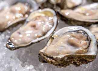 Norovirus Outbreak Linked to Raw Oysters Sickens 80 in Los Angeles norovirus-outbreak-linked-to-raw-oysters-sickens-80-in-los-angeles