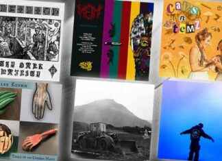 November 2024 Chicago Record Report: Insights from Chicago Reader november-2024-chicago-record-report-nsights-from-chicago-reader