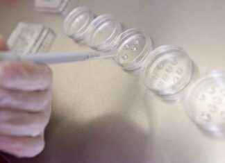NY Couple Sues Fertility Clinic for Destroying Embryos: Lawsuit Details & Impact ny-couple-sues-fertility-clinic-for-destroying-embryos-lawsuit-details-mpact