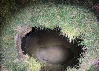 Pennsylvania Grandmother Trapped in Sinkhole – Ground Unstable | WSVN 7News pennsylvania-grandmother-trapped-in-sinkhole-ground-unstable-wsvn-7news