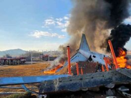 plane-crash-at-south-korean-airport-167-killed-live-updates