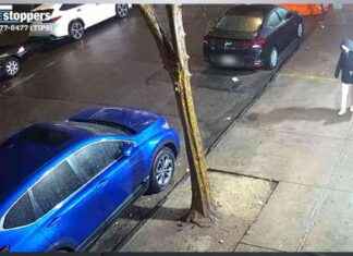 Police Investigating Abandoned Newborn Baby Found in Tote Bag in Bronx police-nvestigating-abandoned-newborn-baby-found-in-tote-bag-in-bronx