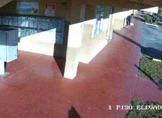 Porch Pirate Arrested for Stealing Package from Sweetwater Apartment | WSVN 7News porch-pirate-arrested-for-stealing-package-from-sweetwater-apartment-wsvn-7news