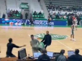 pro-palestinian-activists-disrupt-sraeli-basketball-game-what-happened