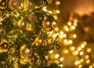 Quiet Holiday Activities in St. Louis: A Guide for Introverts quiet-holiday-activities-in-st-louis-a-guide-for-ntroverts