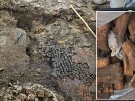 rare-discovery-bone-floor-unearthed-near-red-light-district