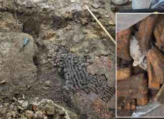 Rare Discovery: Bone Floor Unearthed Near Red-Light District rare-discovery-bone-floor-unearthed-near-red-light-district
