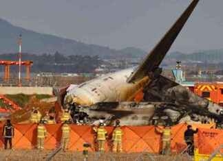 South Korea Plane Crash Explosion Moments : What you need to know south-korea-to-inspect-boeing-aircraft-after-fatal-plane-crash-what-you-need-to-know