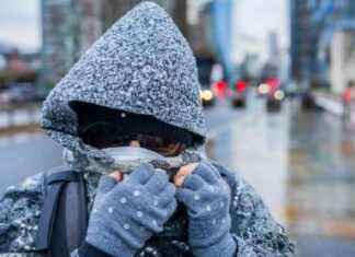 Stay Healthy This Holiday Season: Understanding Infectious Diseases stay-healthy-this-holiday-season-understanding-nfectious-diseases