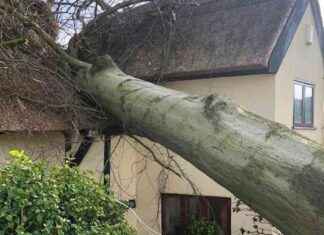 Storm Darragh Update: Rare Red Warning Results in Power Outages, Travel Disruptions, and Merseyside Derby Postponed storm-darragh-update-rare-red-warning-results-in-power-outages-travel-disruptions-and-merseyside-derby-postponed