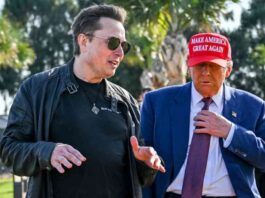 the-political-turmoil-trump-and-elon-musks-mpact-on-congress-before-christmas