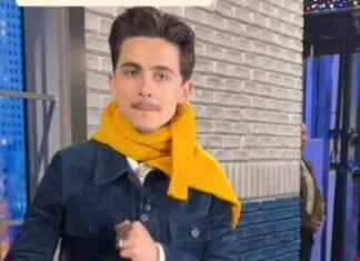 Timothee Chalamet Humorously Talks About Growing a Mustache timothee-chalamet-humorously-talks-about-growing-a-mustache