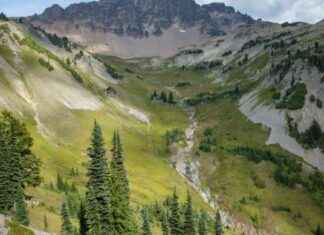 Tragic Deaths of 2 Oregon Men in Forest While Searching for Sasquatch tragic-deaths-of-2-oregon-men-in-forest-while-searching-for-sasquatch