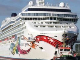 tragic-ncident-man-goes-overboard-on-norwegian-cruise-ship-in-bahamas