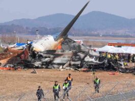 tragic-plane-crash-in-south-korea-124-dead-in-landing-ncident