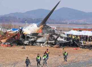 Tragic Plane Crash in South Korea: 124 Dead in Landing Incident tragic-plane-crash-in-south-korea-124-dead-in-landing-ncident