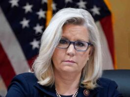 trump-supports-house-gop-claim-that-liz-cheney-interfered-with-jan-6-committee-witness