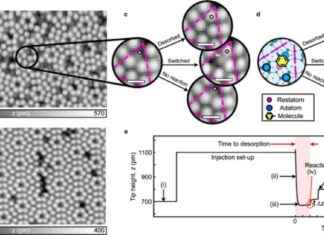 Unveiling Classical Arrhenius Chemical Kinetics Through Single-Molecule Reaction Analysis unveiling-classical-arrhenius-chemical-kinetics-through-single-molecule-reaction-analysis