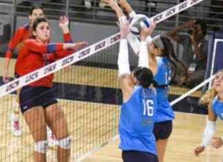 USC Aiken Volleyball Exits NCAA Tournament Early usc-aiken-volleyball-exits-ncaa-tournament-early